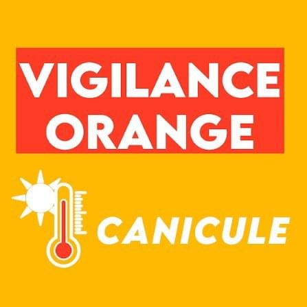 Canicule