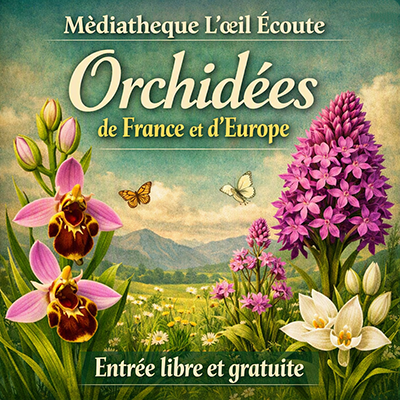 Expo site orchidée